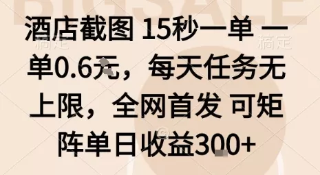 酒店截图15秒一单，一单0.6米，每天任务无上限，全网首发可矩阵单日收益3张【揭秘】 - 项目资源网