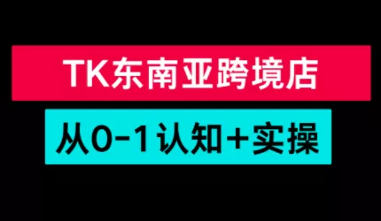 TikTok东南亚跨境从0-1认知实操课 - 项目资源网