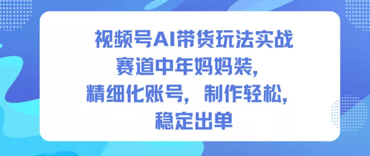视频号AI带货玩法实战，赛道中年妈妈装，精细化账号，制作轻松，稳定出单 - 项目资源网