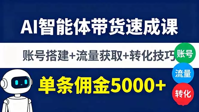 AI智能体带货速成课，账号搭建+流量获取+转化技巧，单条佣金5000+ - 项目资源网