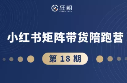 盗坤·抖音小红书视频号短视频带货与直播变现(11-18期) - 项目资源网