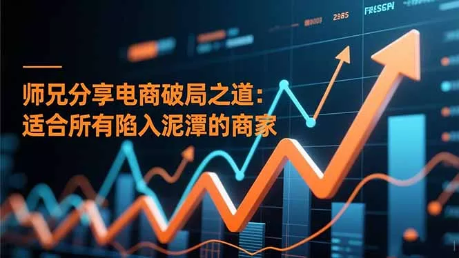 师兄分享电商破局之道：适合所有陷入泥潭的商家 - 项目资源网
