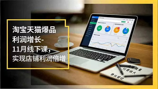 淘宝天猫爆品利润增长-11月线下课，免费流量、付费放大、费比管控，实现店铺利润倍增 - 项目资源网