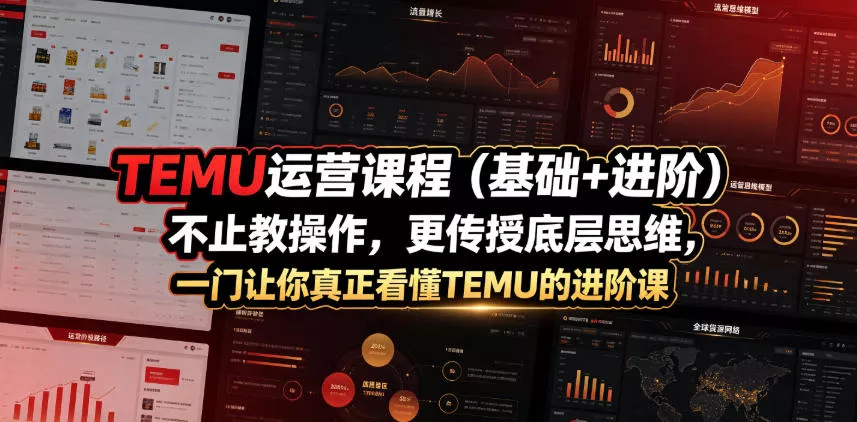 TEMU运营课程(基础+进阶)，不止教操作，更传授底层思维，一门让你真正看懂TEMU的进阶课 - 项目资源网