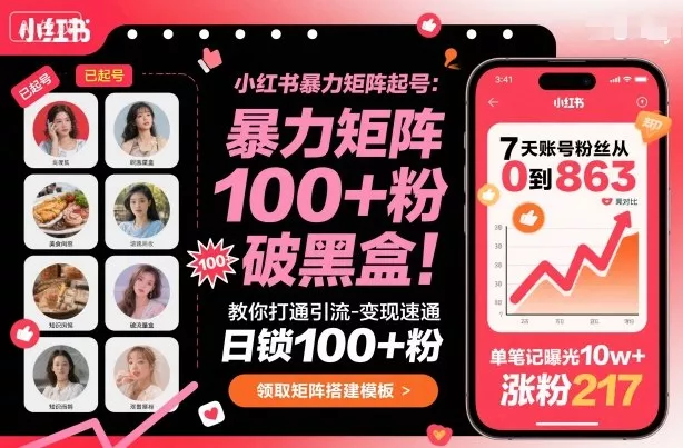 小红书暴力矩阵起号，教你打通引流-变现速通，日锁100+粉，破流量黑盒 - 项目资源网