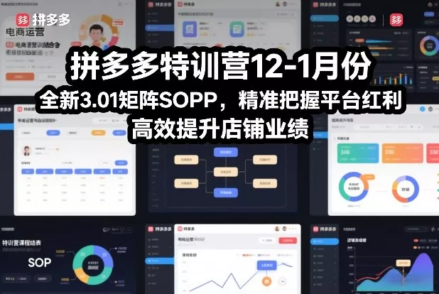 拼多多特训营12-1月份，全新3.01矩阵Sop，精准把握平台红利，高效提升店铺业绩 - 项目资源网