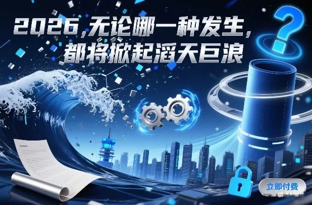 付费文章：2026，无论哪一种发生，都将掀起滔天巨浪 - 项目资源网