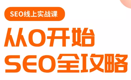 若凡老师·谷歌SEO实操课(更新) - 项目资源网