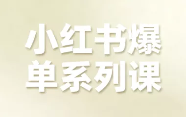 尼采老师·小红书爆单系列课 - 项目资源网