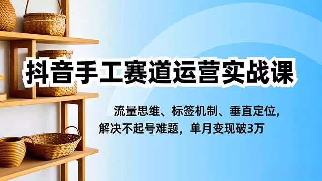 抖音手工赛道运营实战课，流量思维、标签机制、垂直定位，解决不起号难题，单月变现破3万 - 项目资源网