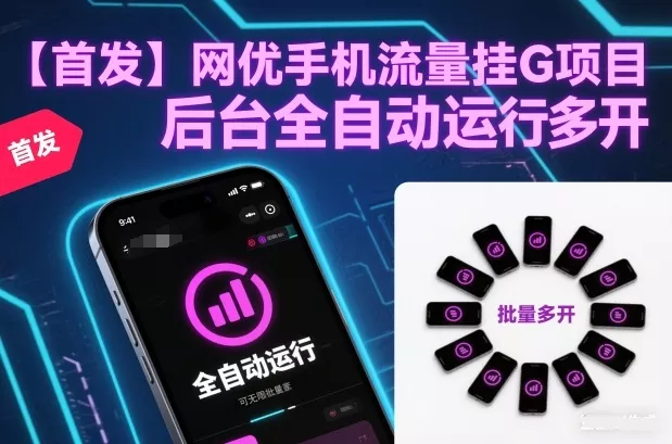 【首发】网优手机流量挂G项目，后台全自动运行，可无限批量多开【揭秘】 - 项目资源网