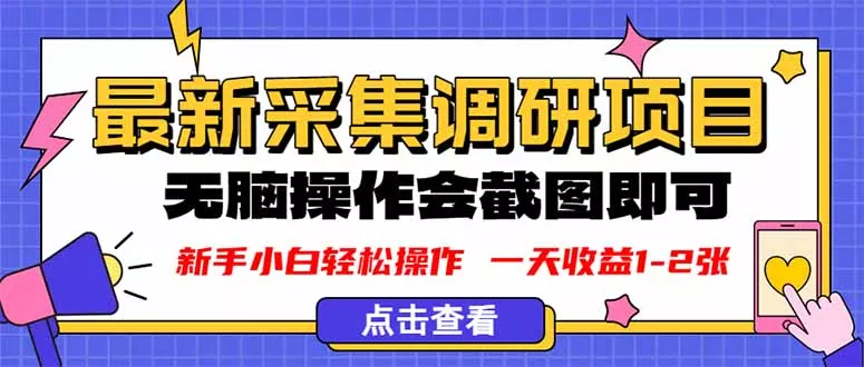 新版采集调研项目，截图上传即可，无脑操作，日收益1-2张 - 项目资源网