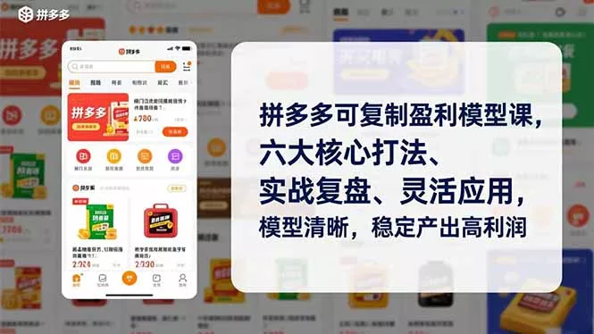 拼多多可复制盈利模型课，六大核心打法、实战复盘、灵活应用，模型清晰，稳定产出高利润 - 项目资源网