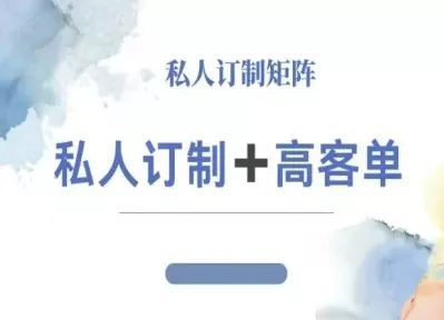 小红书自媒体咨询师IP教程，私人定制+高客单 - 项目资源网