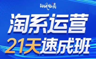 白凤电商·淘系运营21天速成班(更新2026) 白凤电商·淘系运营21天速成班(更新2026)