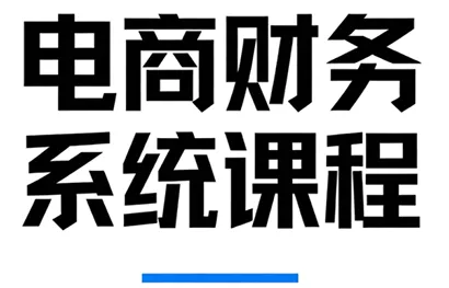 郑老师·电商财务系统课程 - 项目资源网