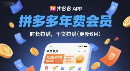 拼多多年费会员，实经验分享操，时长拉满，干货拉满(更新11月) - 项目资源网