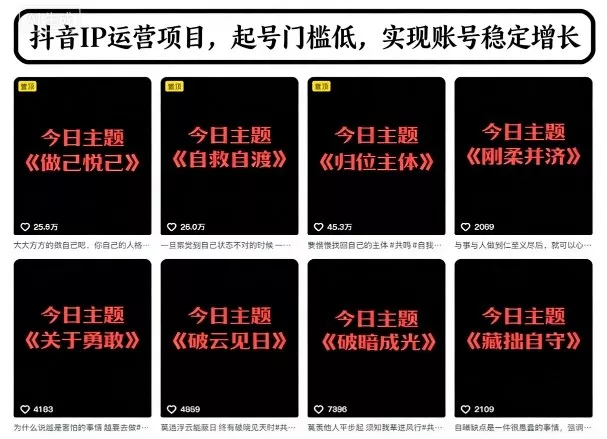 抖音IP运营项目，抖音今日主题玩法，起号门槛低，实现账号稳定增长 - 项目资源网