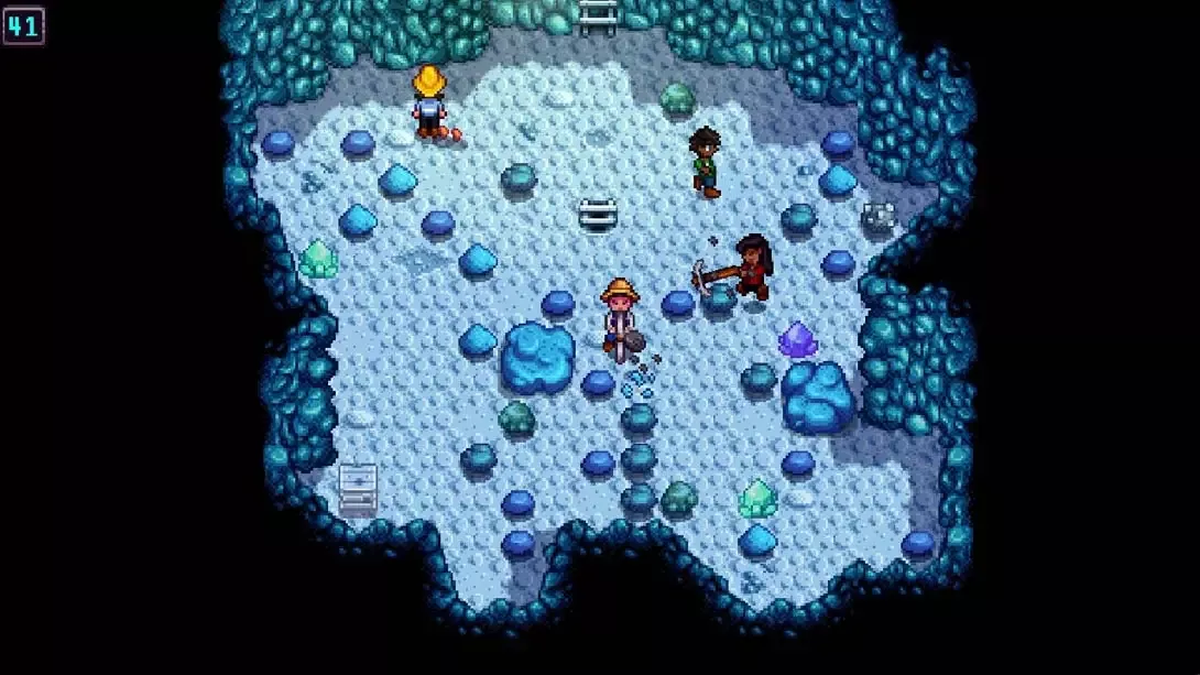 【美版】星露谷物语 Stardew Valley 中文