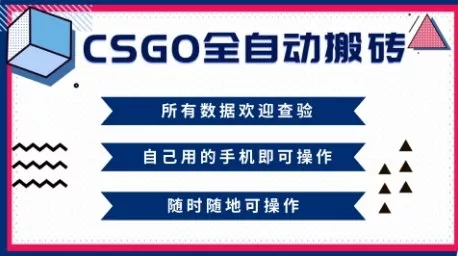 CSGO全自动搬砖，年底钱回家好项目，当天可拿到结果，新手小白轻松月入1W+【揭秘】 - 项目资源网