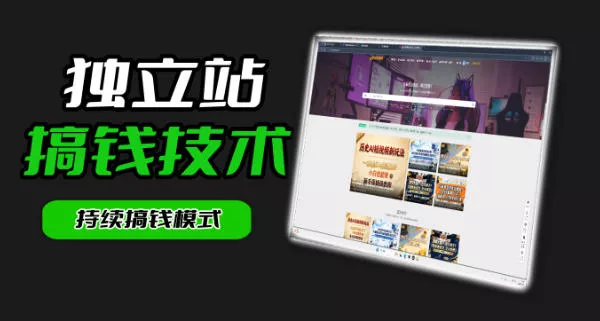 干货来袭！麦子甜带你吃透独立站｜从搭建到引流一站式教学《独立站》第一期 - 项目资源网