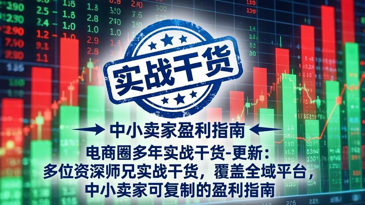 电商圈多年实战干货-更新4月27：多位资深师兄实战干货/覆盖全域平台，中小卖家可复制的盈利指南 - 项目资源网