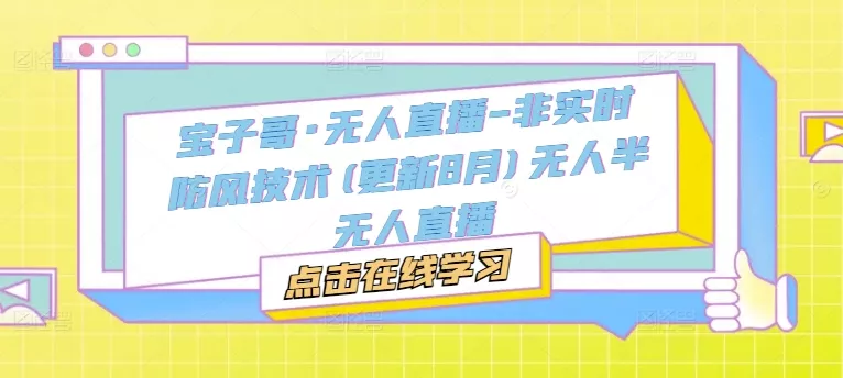 宝子哥·无人直播-非实时防风技术(更新25年12月)无人半无人直播 - 项目资源网