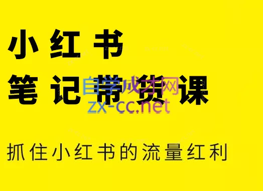 张宾·小红书笔记带货课(更新2026) - 项目资源网