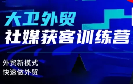 大卫老师·外贸社媒获客独家训练营(更新) - 项目资源网