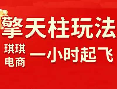 琪琪电商·拼多多擎天柱玩法(更新2026) - 项目资源网