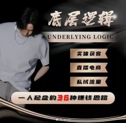 一个人起盘的底层逻辑,私域流量-直播电商-实体获客,一人起盘的36种賺钱思路