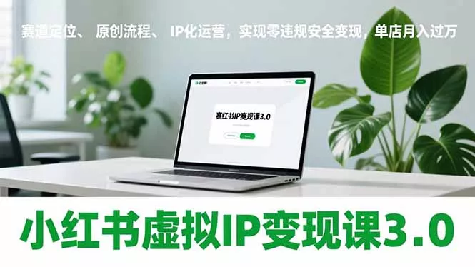 小红书虚拟IP变现课3.0，赛道定位、原创流程、IP化运营，实现零违规安全变现，单店月入过万 - 项目资源网