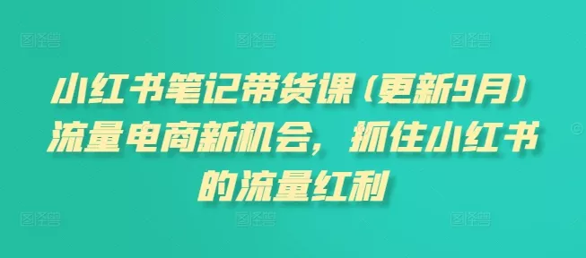 小红书笔记带货课，流量电商新机会，抓住小红书的流量红利(更新26年2月) - 项目资源网