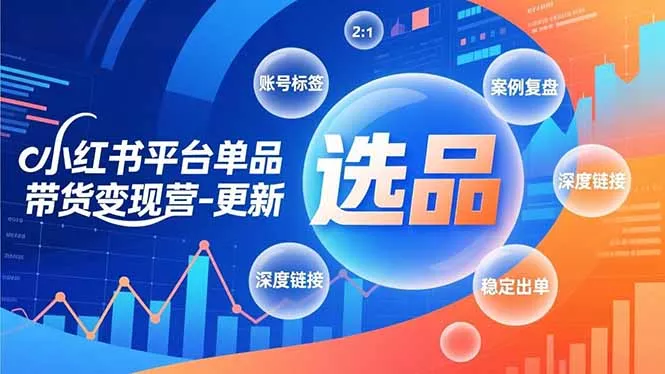 小红书平台单品带货变现营-更新，极致选品、账号标签、案例复盘，深度链接，快速启动稳定出单 - 项目资源网