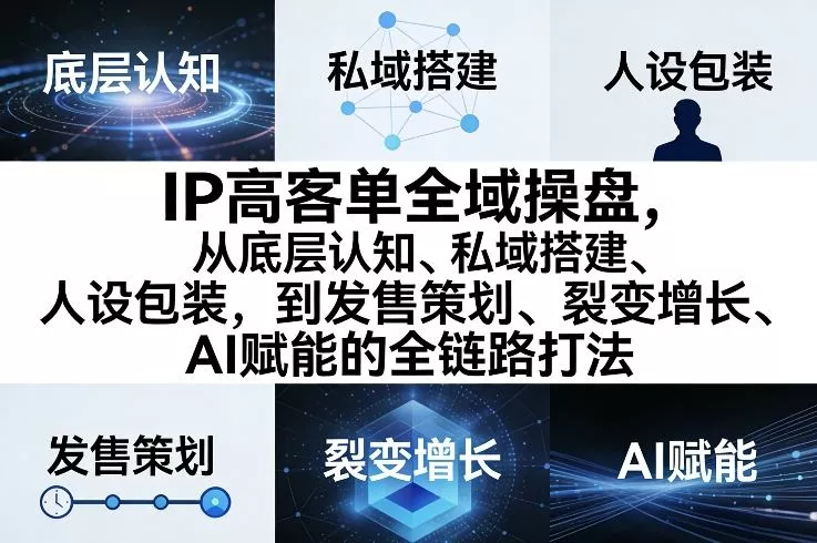 IP高客单全域操盘，从底层认知、私域搭建、人设包装，到发售策划、裂变增长、AI赋能的全链路打法 - 项目资源网