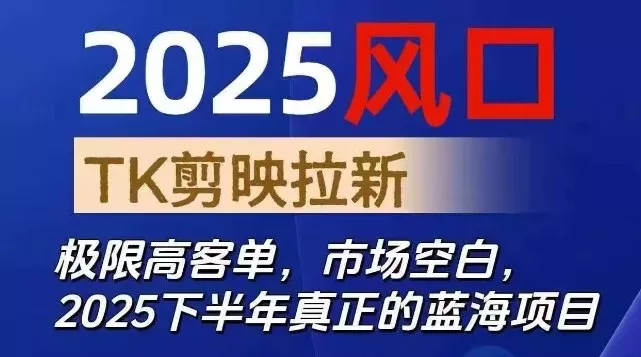 2025风口TK剪映capcut拉新项目，极限高客单，市场空白，2025下半年真正的蓝海项目 - 项目资源网