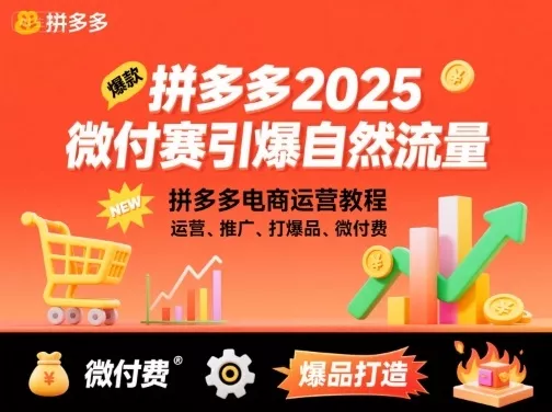 拼多多2025微付费引爆自然流量，拼多多电商运营教程，运营、推广、打爆品、微付费(更新) - 项目资源网