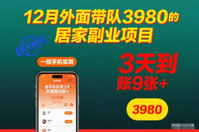 12月外面带队3980的居家副业项目，一部手机实测3天到账9张+，首发教程【揭秘】 - 项目资源网