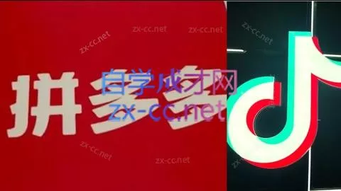 老陶电商·拼多多+抖音小店无货源开店(更新11月) - 项目资源网