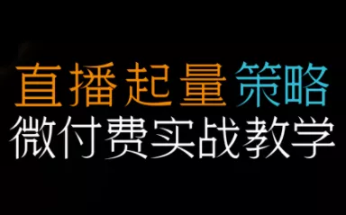 半野老师·直播带货起量与微付费必学课视频号(更新2026) - 项目资源网