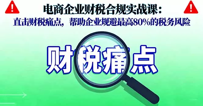 电商企业财税合规实战课，直击财税痛点，帮助企业规避最高80%的税务风险 - 项目资源网