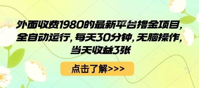外面收费1980的最新平台撸金项目，全自动运行，每天30分钟，无脑操作，当天收益3张【揭秘】 - 项目资源网