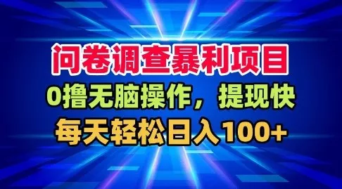 问卷调查暴利项目，0撸无脑操作，提现快，每天轻松日入100+【揭秘】 - 项目资源网