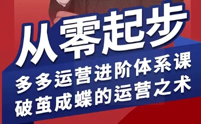 拼多多运营进阶系统课，从零起步，多多运营进阶体系课，破茧成蝶的运营之术(更新9月) - 项目资源网