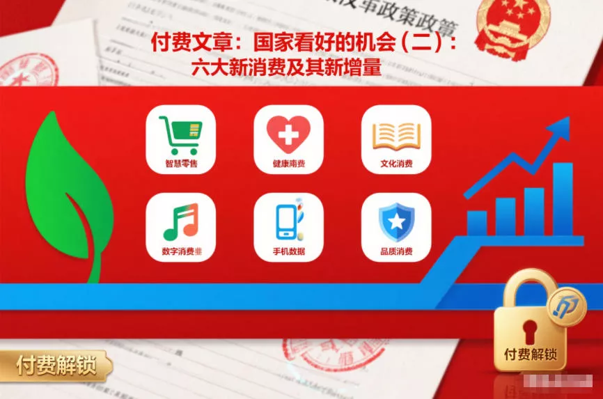 付费文章：国家看好的机会(二)：六大新消费及其新增量 - 项目资源网