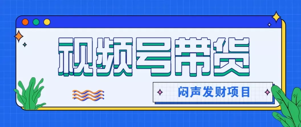 微信视频号带货项目，轻松日赚赚2000+，这个挣钱入口很多伙伴都在闷声发财 - 项目资源网
