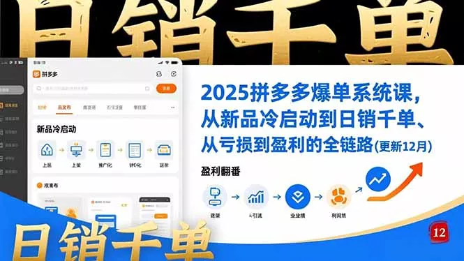 2025拼多多爆单系统课，从新品冷启动到日销千单、从亏损到盈利的全链路(更新12月 - 项目资源网
