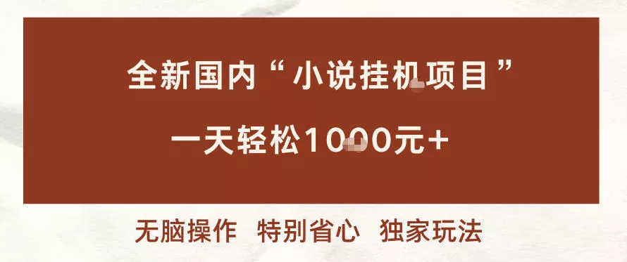 全新国内小说挂G项目，多窗口无脑跑，一天轻松1k+，特别省心【揭秘】 - 项目资源网