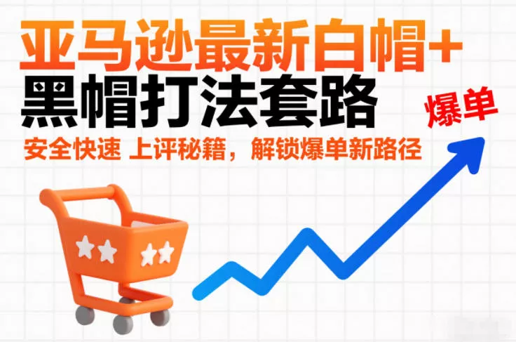 亚马逊最新白帽+黑帽打法套路，安全快速上评秘籍，解锁爆单新路径 - 项目资源网