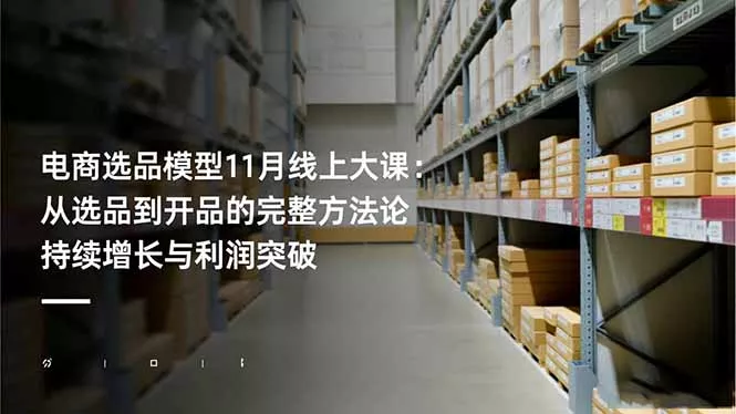 电商选品模型11月线上大课：从选品到开品的完整方法论 持续增长与利润突破 - 项目资源网
